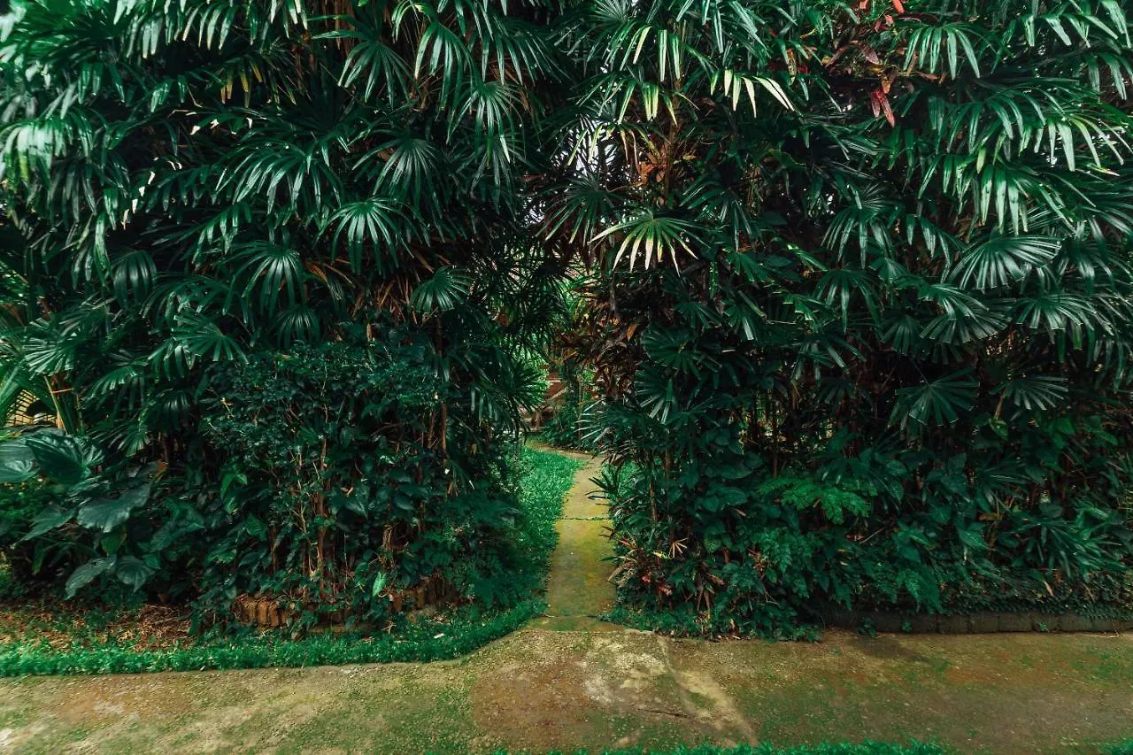 Suastika Lodge Ubud